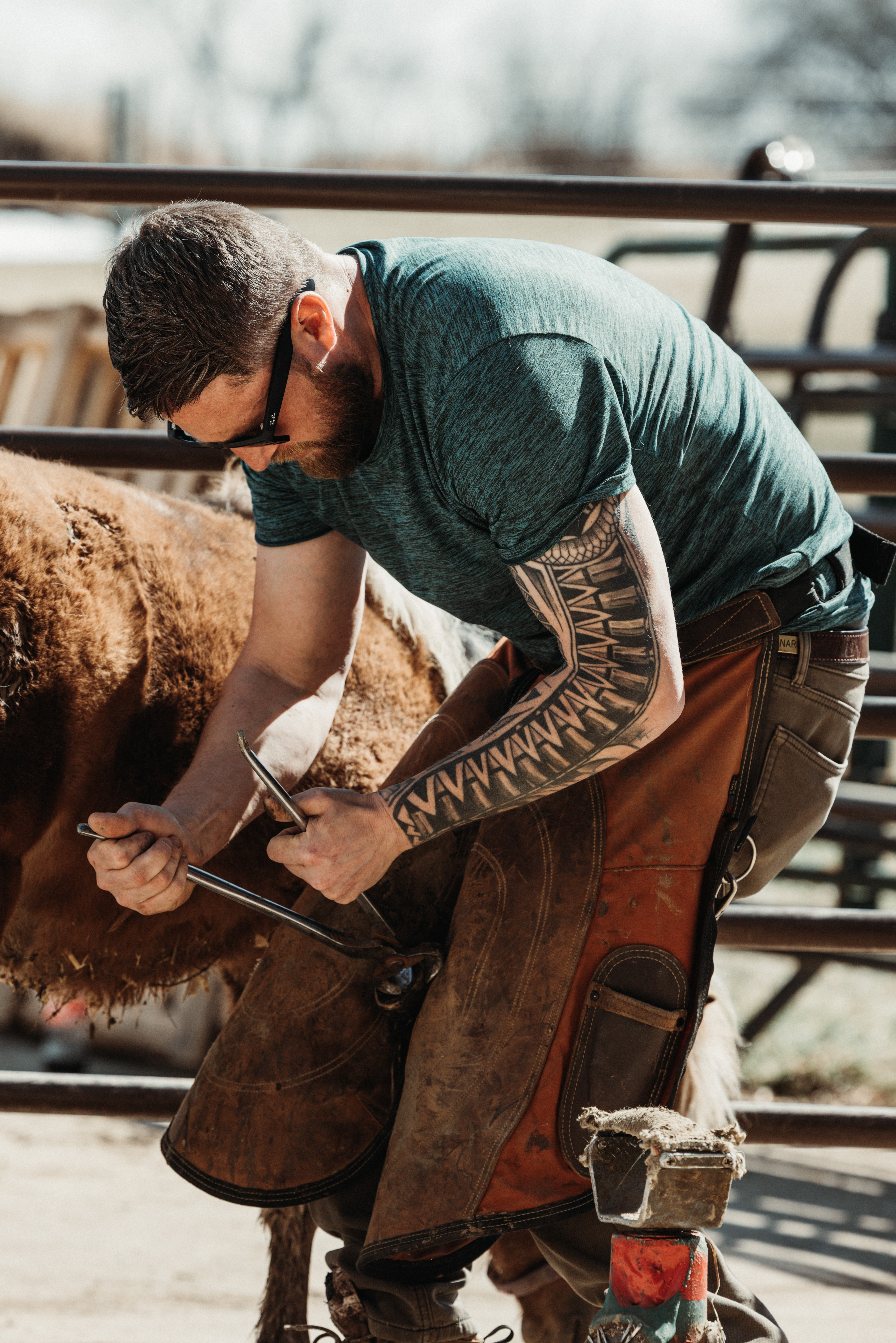 Brad Menard, Farrier and Equine Hoof Care Professional